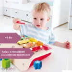 HAPE Xilofon és Formabehelyező - 12 hó+ - Image 2